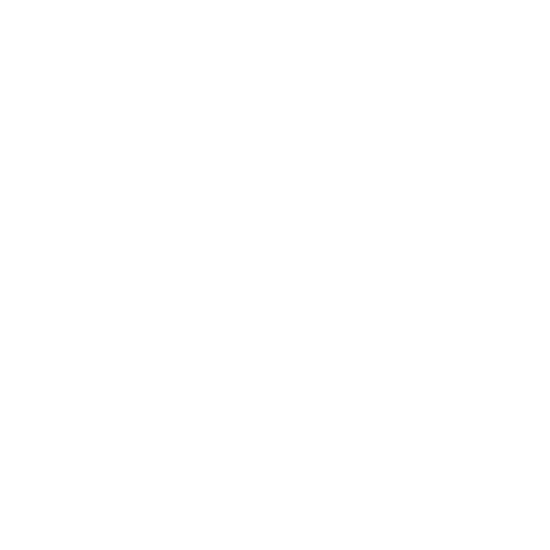 20M Logo